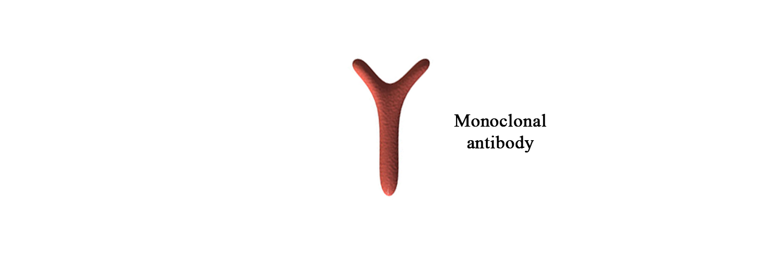 BIO 312 - Moab a-IHNV 34D3/protein N (Infectious Haematopoietic Necrosis)